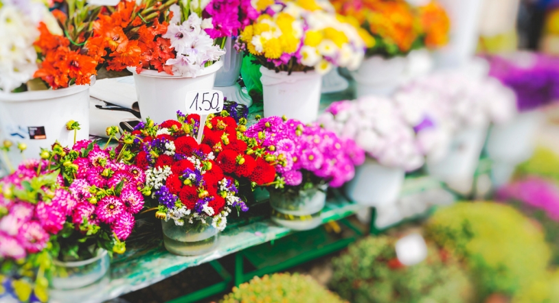 El Mercado de las Flores vuelve a las calles de Salamanca los días 15 y 16 de mayo 