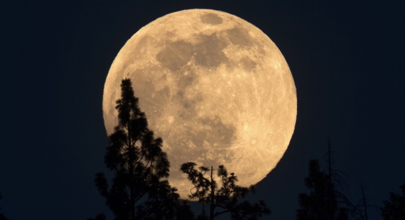 Cómo y cuándo ver la bonita 'Luna de las flores', la luna llena del mes de mayo
