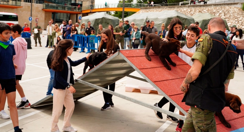 Actividades para celebrar hoy el Día de las Fuerzas Armadas en el Tormes