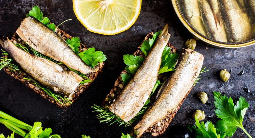 Sardinas en lata: ¿cuáles son las mejores?
