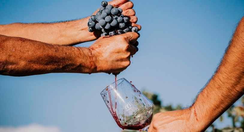 15 vinos de Arribes consiguen 90 puntos o más para la Guía Peñin 2025