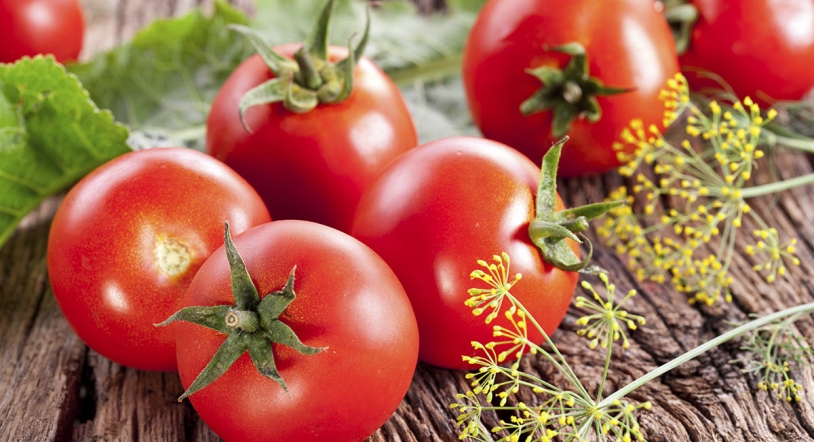 ¿Qué hacer con el exceso de tomates naturales? 7 ideas creativas para aprovecharlos