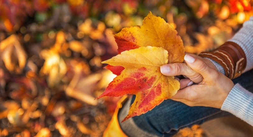 El otoño y el cambio de hora están muy cerca: ¿qué día habrá que retrasar el reloj?