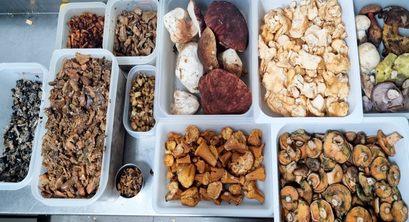 ¡No te pierdas el Menú Micológico de La Cocina Vieja del 1 al 24 de noviembre!