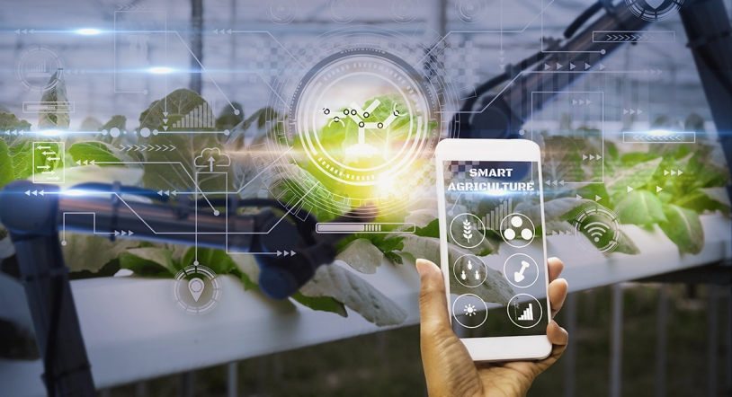 Tendencias gastronómicas para 2025: Innovación, salud y sostenibilidad