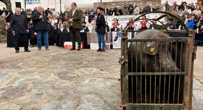 ¡Disfruta del último fin de semana de la Matanza Típica de Guijuelo!