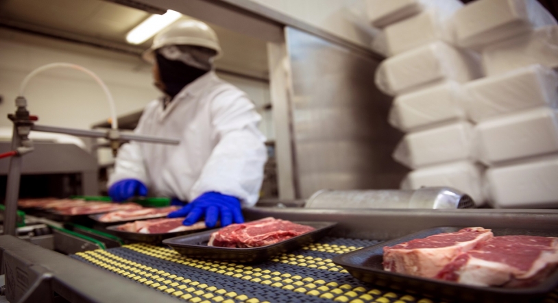 Todo lo que necesitas saber sobre la salmonelosis: prevención, síntomas y riesgos en verano