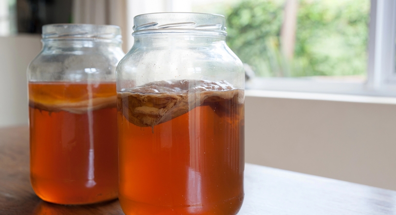 ¿Una kombucha más saludable? La ciencia demuestra que la fibra multiplica sus beneficios