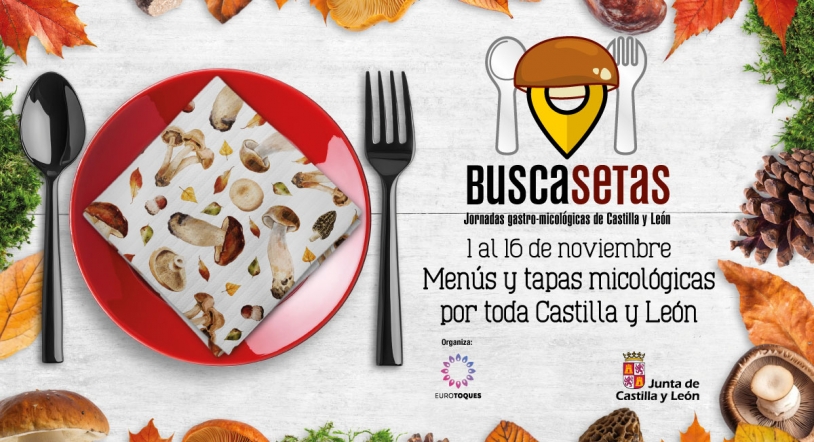Arrancan las XXIV Jornadas Buscasetas Tierra de Sabor