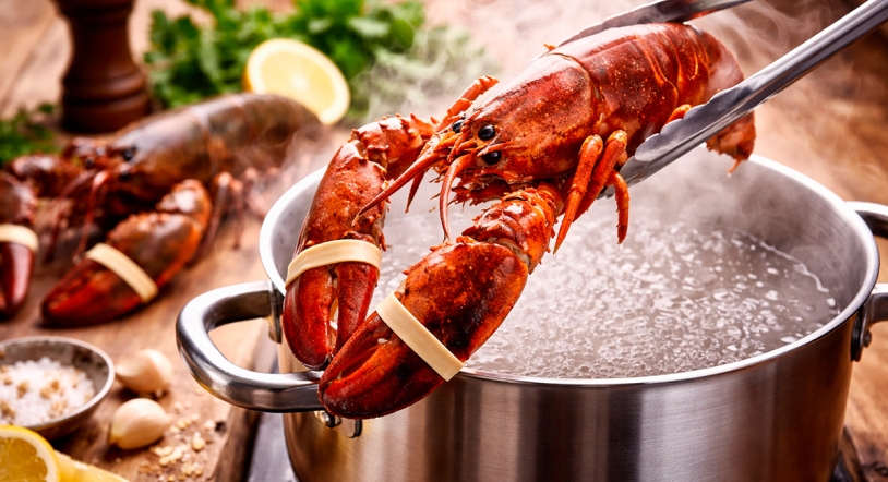Cambios en la cocina del mar: Reino Unido da un paso contra hervir langostas y otros crustáceos vivos