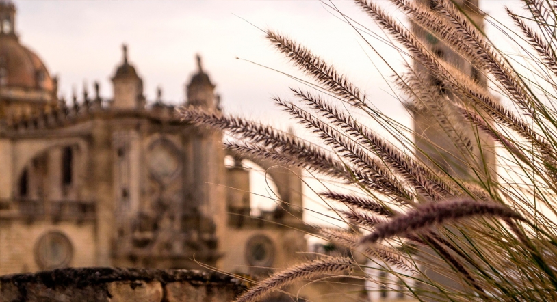 5 planes para disfrutar de Jerez, Capital Española de la Gastronomía 2026 