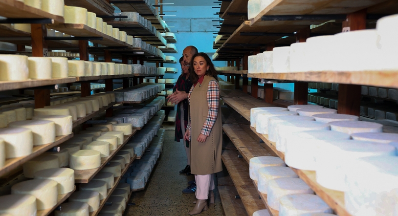 Castilla y León revoluciona el queso: la maduración en bodegas eleva su sabor y calidad