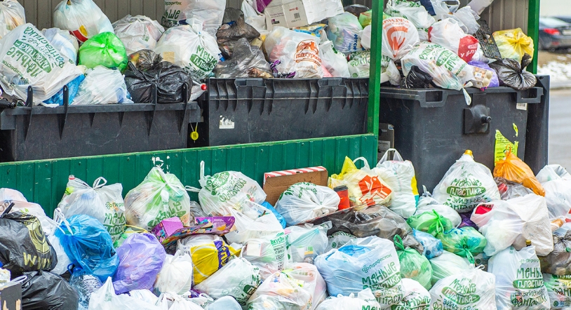 Adiós al desperdicio sin control: la normativa que transforma la gestión de los alimentos