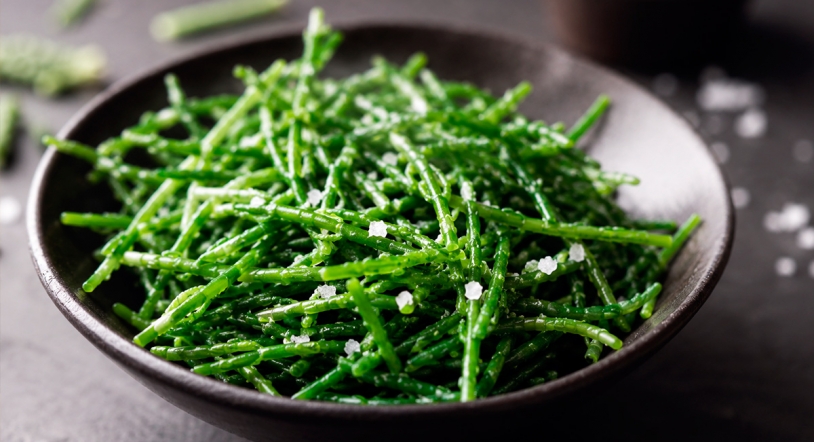 Salicornia: el vegetal marino que podría cambiar para siempre la forma de cocinar con sal