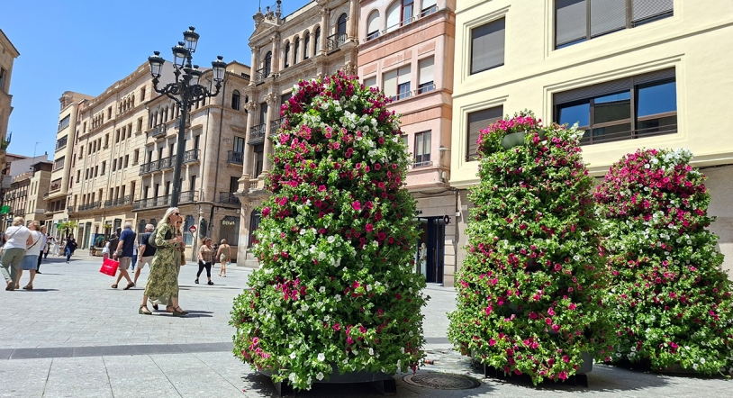 Las flores comienzan a 'inundar' las calles del centro de Salamanca