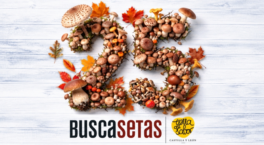 Abiertas las inscripciones para las Jornadas Buscasetas Tierra de Sabor 2026
