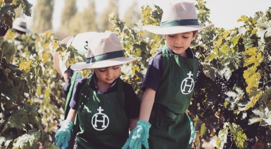 Hacienda Zorita Wine Hotel celebra la vendimia el día 26 y reivindica el sabor de la tierra salmantina