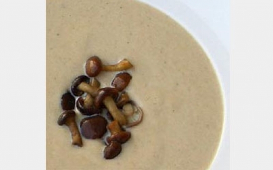 Crema de setas