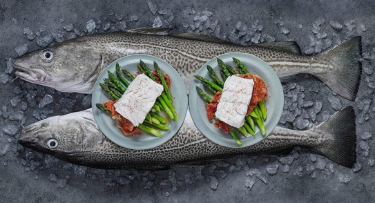 Skrei noruego hervido con jamón curado
