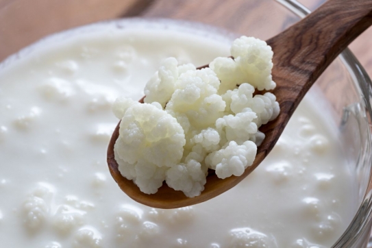 Receta de kéfir de leche casero