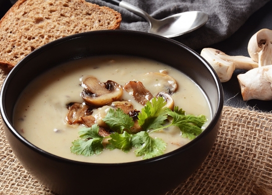 Crema de champiñones activados