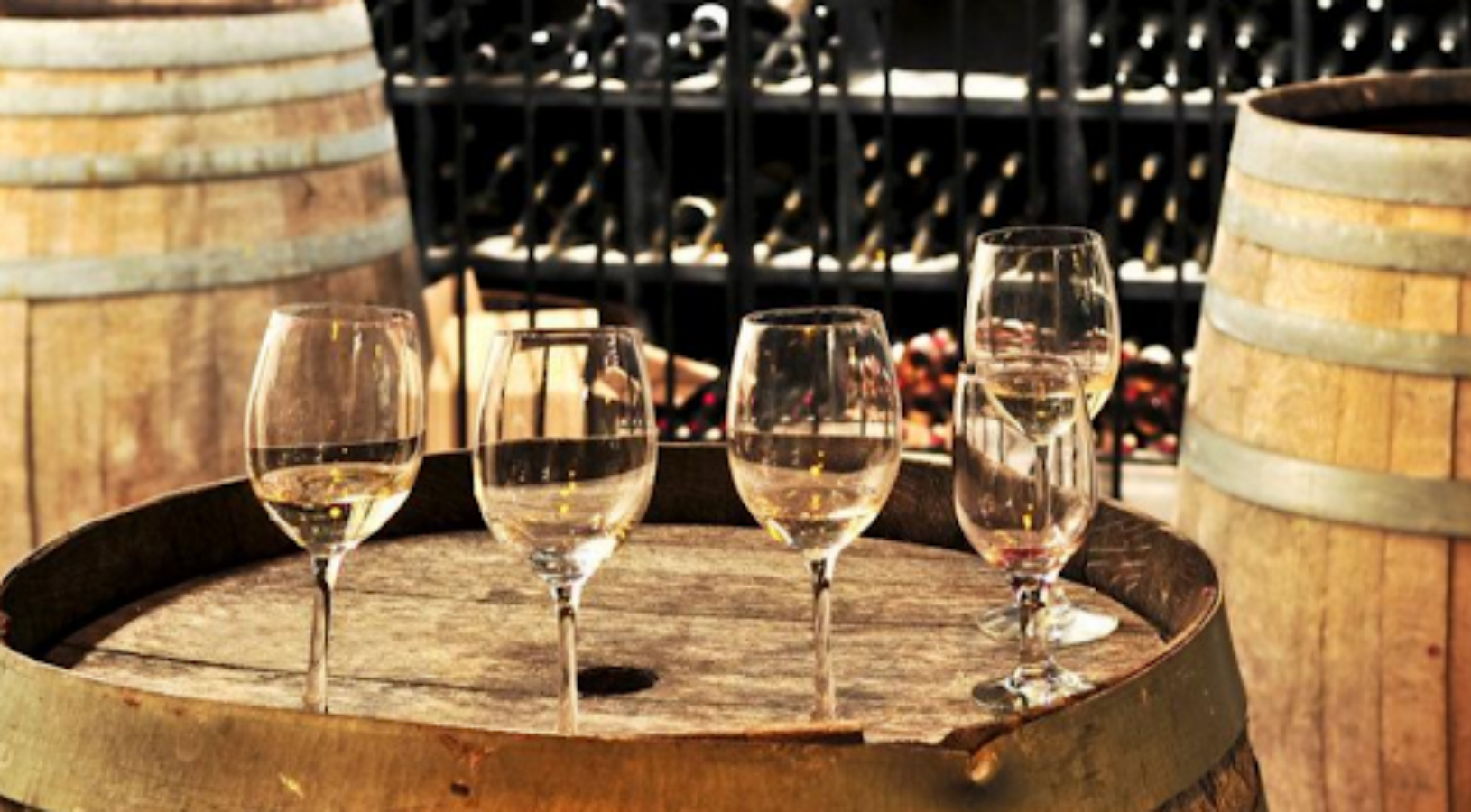 Bodega Pámpano