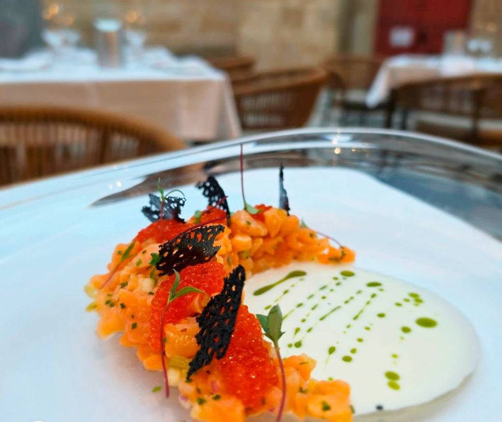 TARTAR-CON-BRILLO.jpg