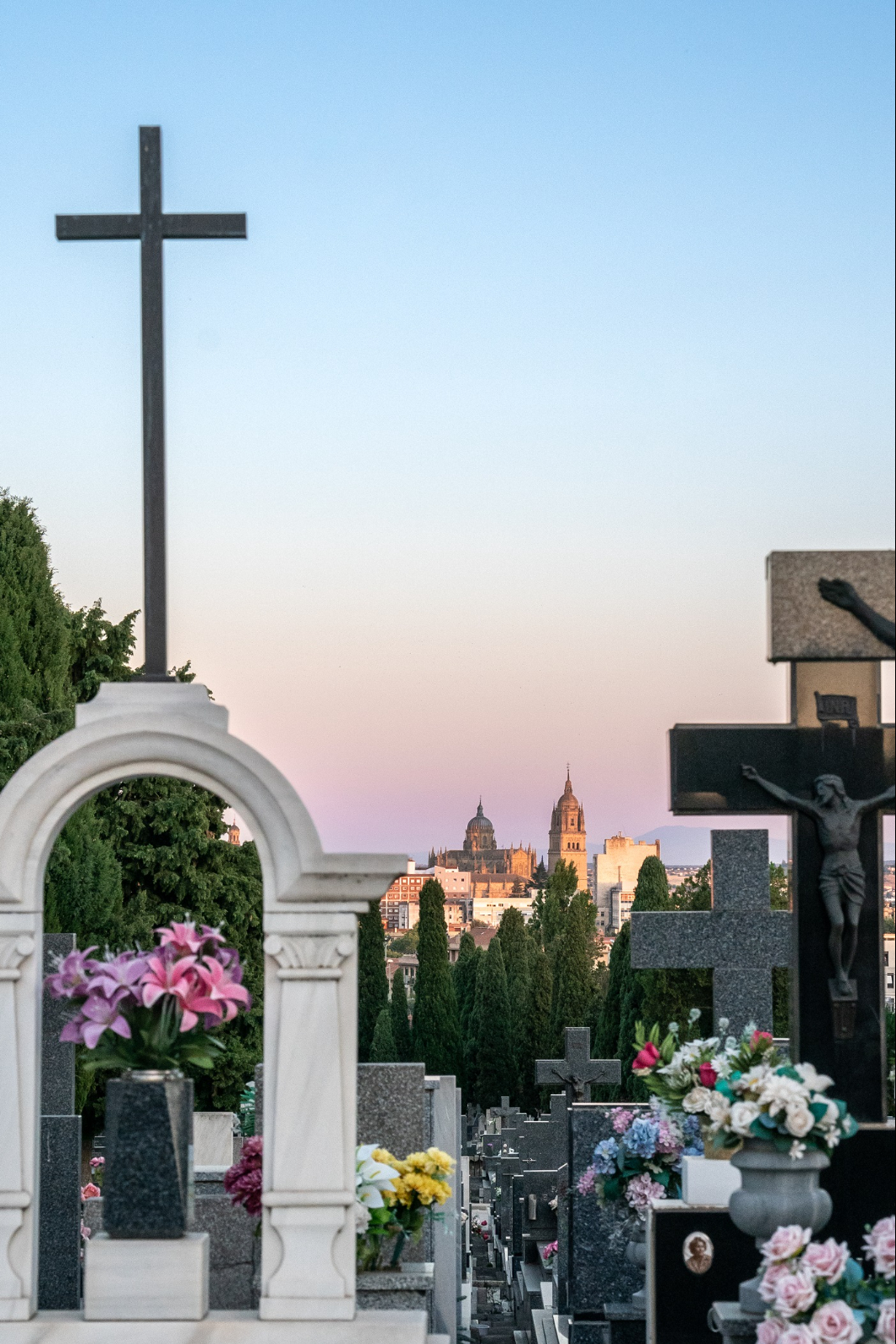 visitas cementerio san carlos borromeo.jpg
