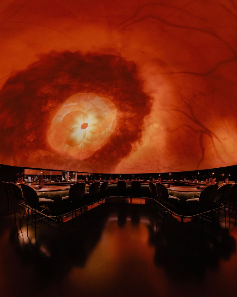Captura de pantalla 2026-09-24 101105.png