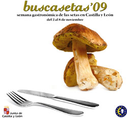 Cartel promocional Buscasetas 2009