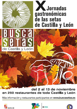 Buscasetas 2011