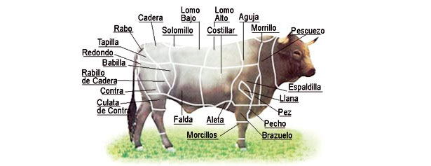 Ternera Morucha